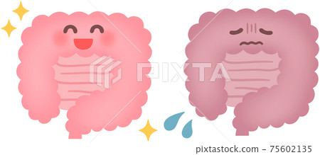 小腸健康，小腸脆弱 75602135