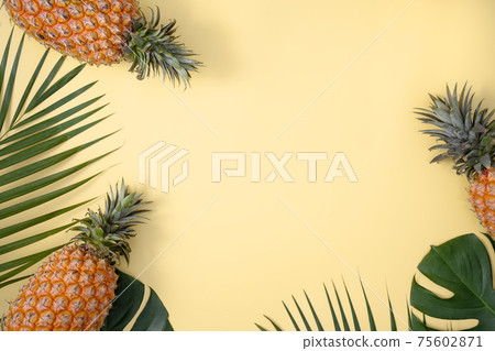 鳳梨 熱帶 葉子 蓬萊蕉 背景 龜背葉 pineapple background パイナップル 75602871