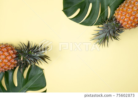 鳳梨 熱帶 葉子 蓬萊蕉 背景 龜背葉 pineapple background パイナップル 75602873