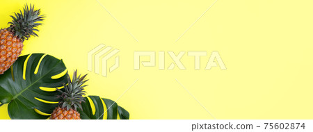 鳳梨 熱帶 葉子 蓬萊蕉 背景 龜背葉 pineapple background パイナップル 75602874