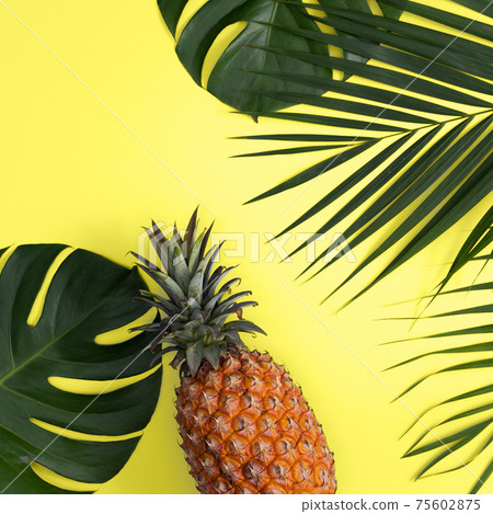 鳳梨 熱帶 葉子 蓬萊蕉 背景 龜背葉 pineapple background パイナップル 75602875