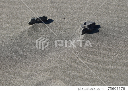 Sand pattern 75603376