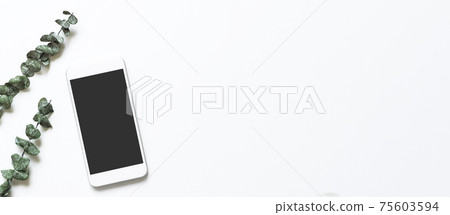 Smartphone and eucalyptus leaves on white background 75603594