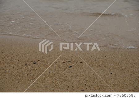 一個海灘 75603595