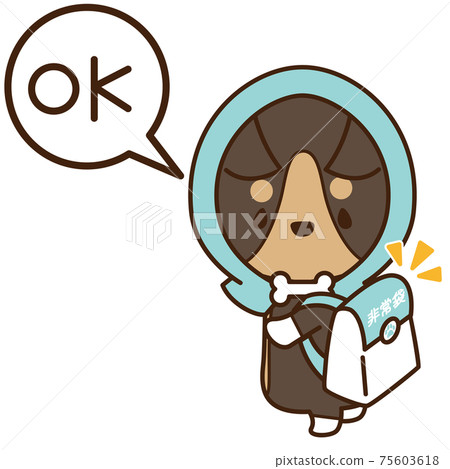 A well-prepared dog Corgi wearing a disaster prevention hood and holding an emergency bag A well-prepared dog Corgi wearing a disaster prevention hood and holding an emergency bag 75603618