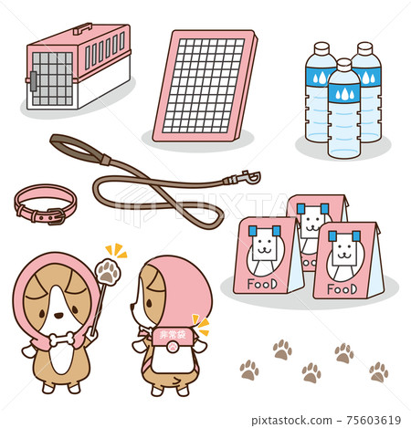 好狗柯基犬(Corgi)戴上防災罩,並在撤離時手持急救袋和您要準備的物品 好狗柯基犬(Corgi)戴上防災罩,並在撤離時手持急救袋和您要準備的物品 75603619