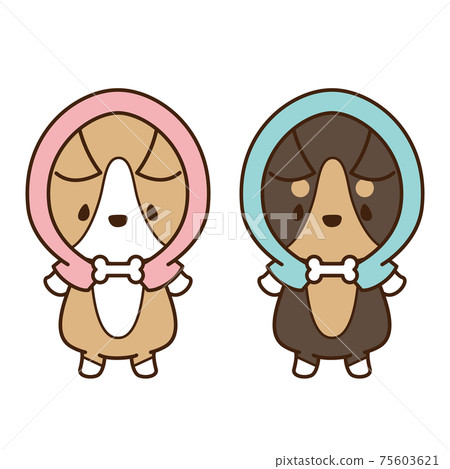 Corgi, an upright dog wearing a disaster prevention hood 75603621