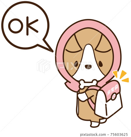 A well-prepared dog Corgi wearing a disaster prevention hood and holding an emergency bag A well-prepared dog Corgi wearing a disaster prevention hood and holding an emergency bag 75603625