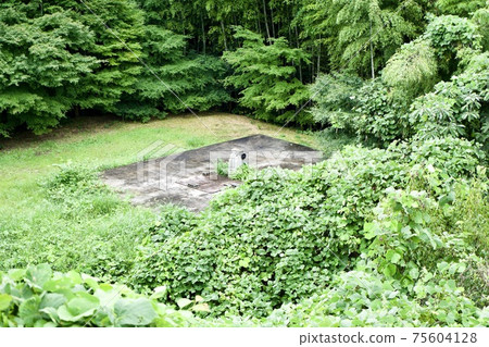 Forest square and concrete 75604128