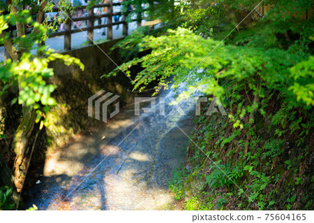 朝拜八王子高尾山八王子市夏季登山日期東京之戀修玄堂聖山 朝拜八王子高尾山八王子市夏季登山日期東京之戀修玄堂聖山 75604165