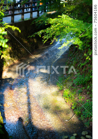 朝拜八王子高尾山八王子市夏季登山日期東京之戀修玄堂聖山 75604166