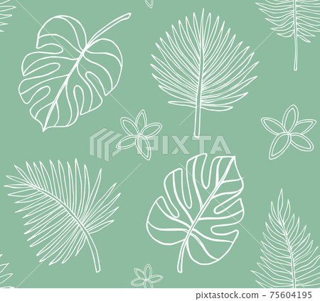 Vector seamless pattern of palm and monstera leaf Vector seamless pattern of palm and monstera leaf 75604195