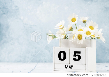 cube calendar for May decorated with daisy flowers over blue with copy space 75604765