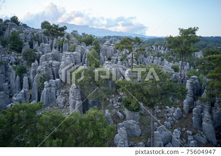 Rock formations and pine trees on a summer day. Rock formations and pine trees on a summer day. 75604947