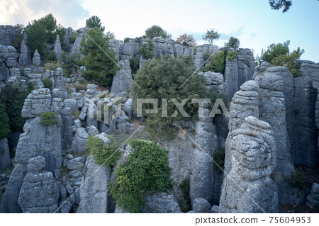 Gray rocky columns and green trees. 75604953
