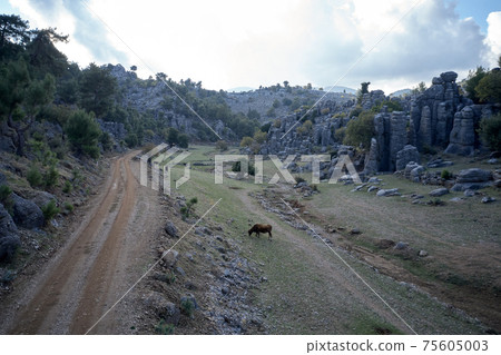 Countryside landscape with picturesque rock formations. 75605003