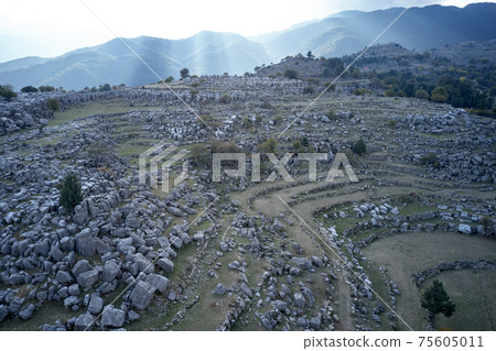 Gray rocks on the field with mountains in the background. 75605011