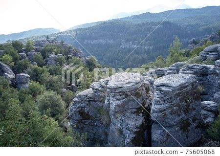 Grey rock formations and mountains with green forests. 75605068