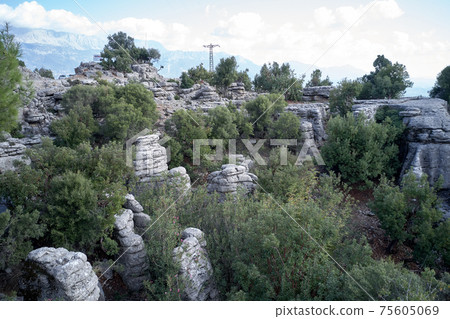National Park of Manavgat, Antalya, Turkey. 75605069