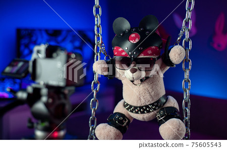 toy bear in a leather belt accessory for BDSM games in the neon room in the foreground is a dslr camera 75605543