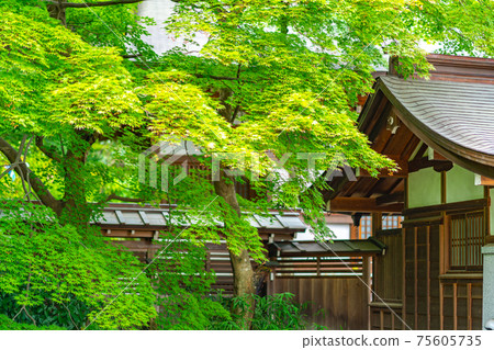 五層寶塔明仁宮寺東京都日野市高hat藤村高hat藤站寺院觀光遊覽日期 75605735