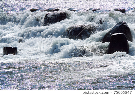 Scenery of a river where a large amount of water roars and flows through a weir ... Iinashi River, Yasugi City, Shimane Prefecture (sunny) 75605847