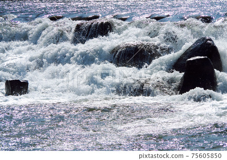 Scenery of a river where a large amount of water roars and flows through a weir ... Iinashi River, Yasugi City, Shimane Prefecture (sunny) 75605850