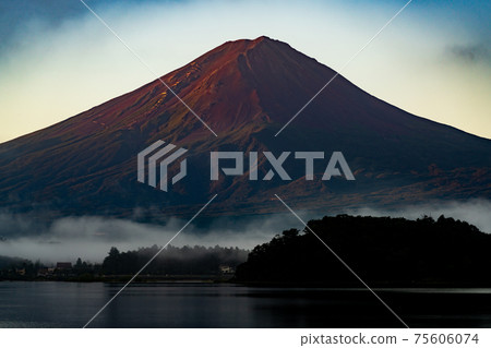 Oishi Park Kawaguchiko Nature Outdoor Scenery Countryside Sightseeing Travel Yamanashi Prefecture Mt. Fuji Date Drive Summer Spring Oishi Park Kawaguchiko Nature Outdoor Scenery Countryside Sightseeing Travel Yamanashi Prefecture Mt. Fuji Date Drive Summer Spring 75606074