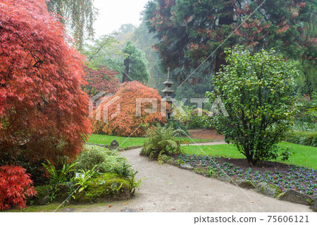 Lantern and orange japanese maple  in the Autumn Japanese Garden in Leverkusen is an amazing misty autumn landscape 75606121