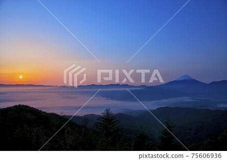 From Mt. Kushigata, a distant view of the Kofu basin and Mt. Fuji at dawn surrounded by a sea of clouds From Mt. Kushigata, a distant view of the Kofu basin and Mt. Fuji at dawn surrounded by a sea of clouds 75606936
