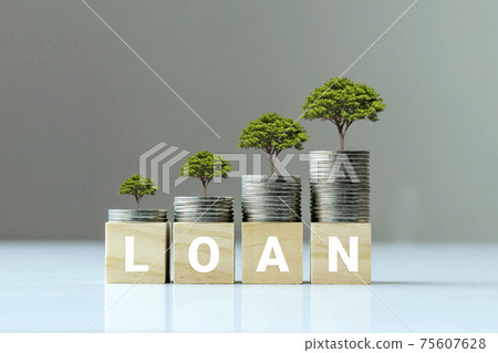 Growing plant on coin pile and wood block with loan text, finance ideas and credit growth. 75607628