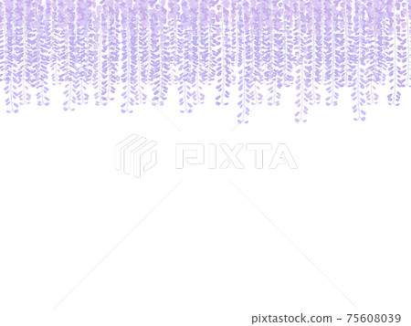 紫藤花複製空間插圖素材 75608039