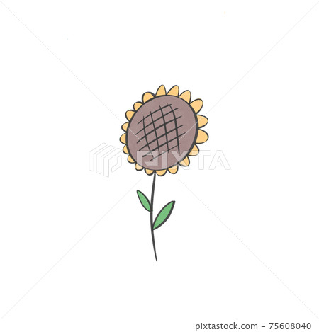向日葵 向日葵 75608040