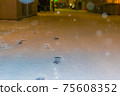 雪的足跡 75608352