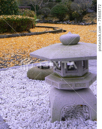 Ginkgo and stone lantern 75608772