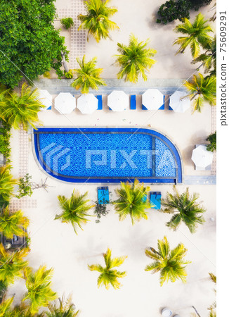 Aerial view at the pool and palm trees. Place for rest and relaxation. Beach umbrellas. Aerial view at the pool and palm trees. Place for rest and relaxation. Beach umbrellas. 75609291