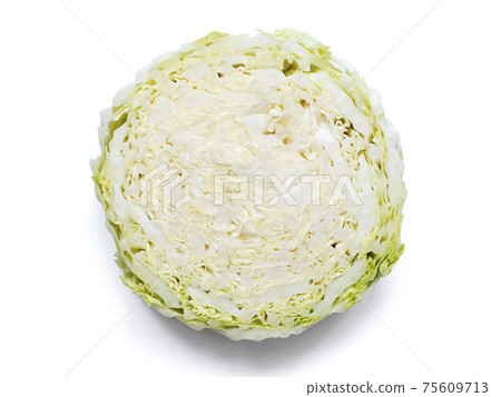 cabbage slice 75609713