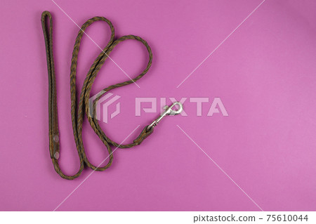 An old leather dog leash on a pink background. Braided brown leash with metal clasp. Top view, Flat Lay. An old leather dog leash on a pink background. Braided brown leash with metal clasp. Top view, Flat Lay. 75610044
