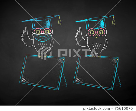 Student owl sitting on digital tablet 75610070