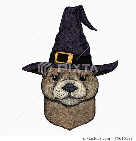 Vector portrait of otter. Head of wild animal. 75610158
