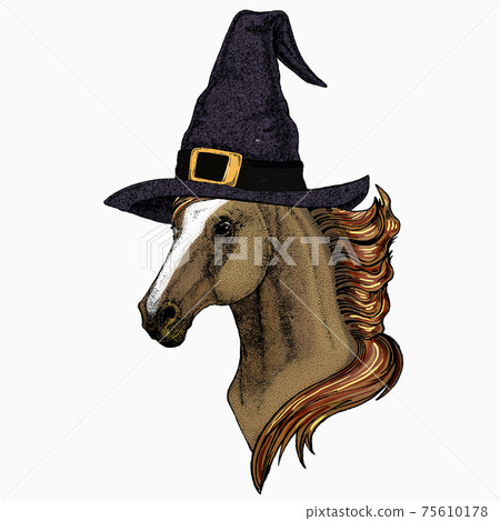 Horse head, horse portrait. Animal face 