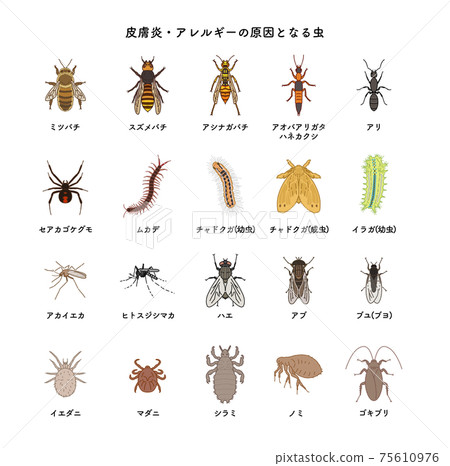 Pest set illustration 75610976