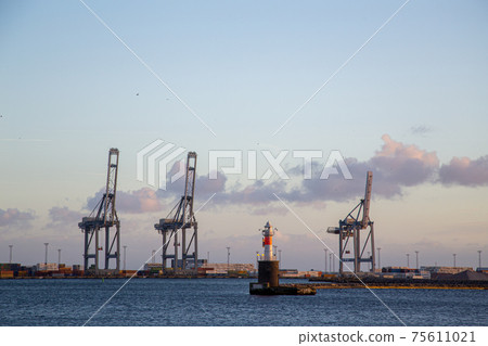 Cranes at the Container Terminal in Aarhus, Denmark 75611021
