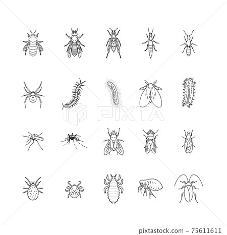 害蟲設置圖單色沒有字符 75611611