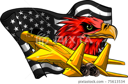 Military fighter jets with eagle and american flag Military fighter jets with eagle and american flag 75613534
