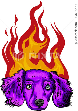 puppy Dog with Flame ornaments vector illustration puppy Dog with Flame ornaments vector illustration 75613535