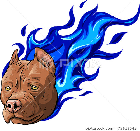 head of dog pitbull on fire vector head of dog pitbull on fire vector 75613542
