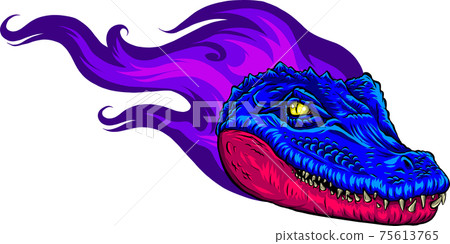 vector illustration of colored fiery head alligator vector illustration of colored fiery head alligator 75613765