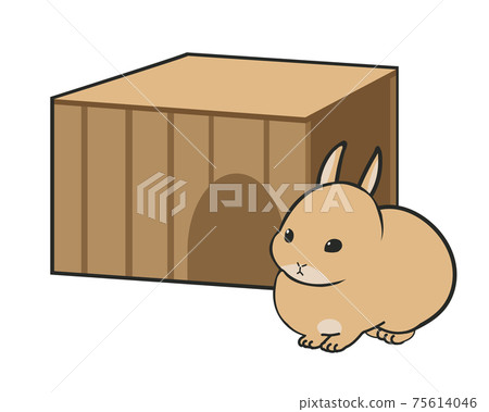 House and mini rabbit House and mini rabbit 75614046
