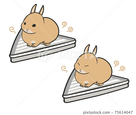 迷你兔子使用廁所的氣味 迷你兔子使用廁所的氣味 75614047